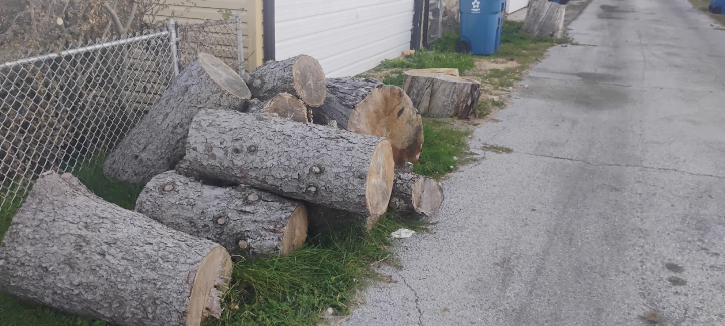 Firewood Logs and Tree Stump