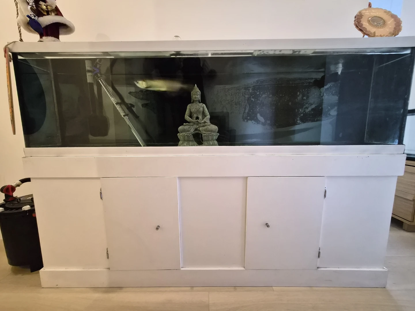 Elegant Glass Fish Tank with Stand – Custom Top Flap