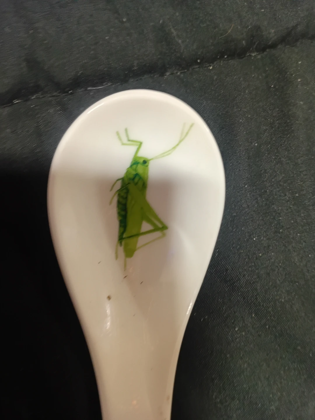 Grasshopper Design Ceramic Spoon - photo 2