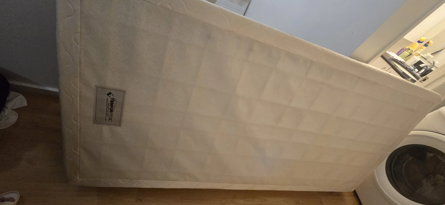 Twin Tempur-Pedic Box Spring - photo 2