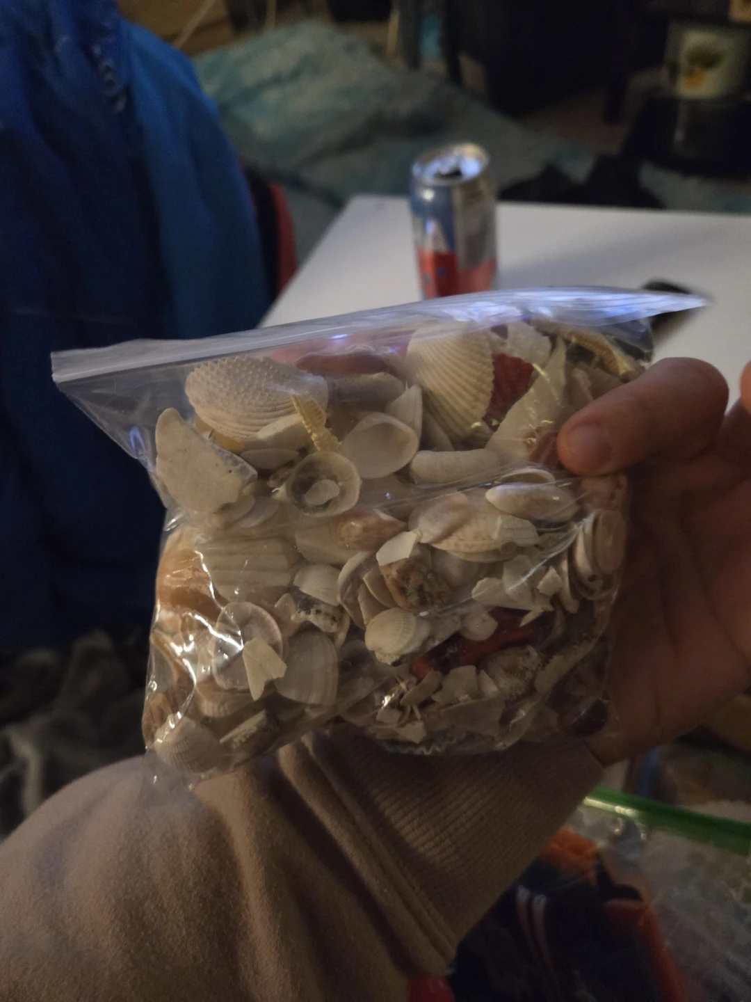 Bag of assorted seashells