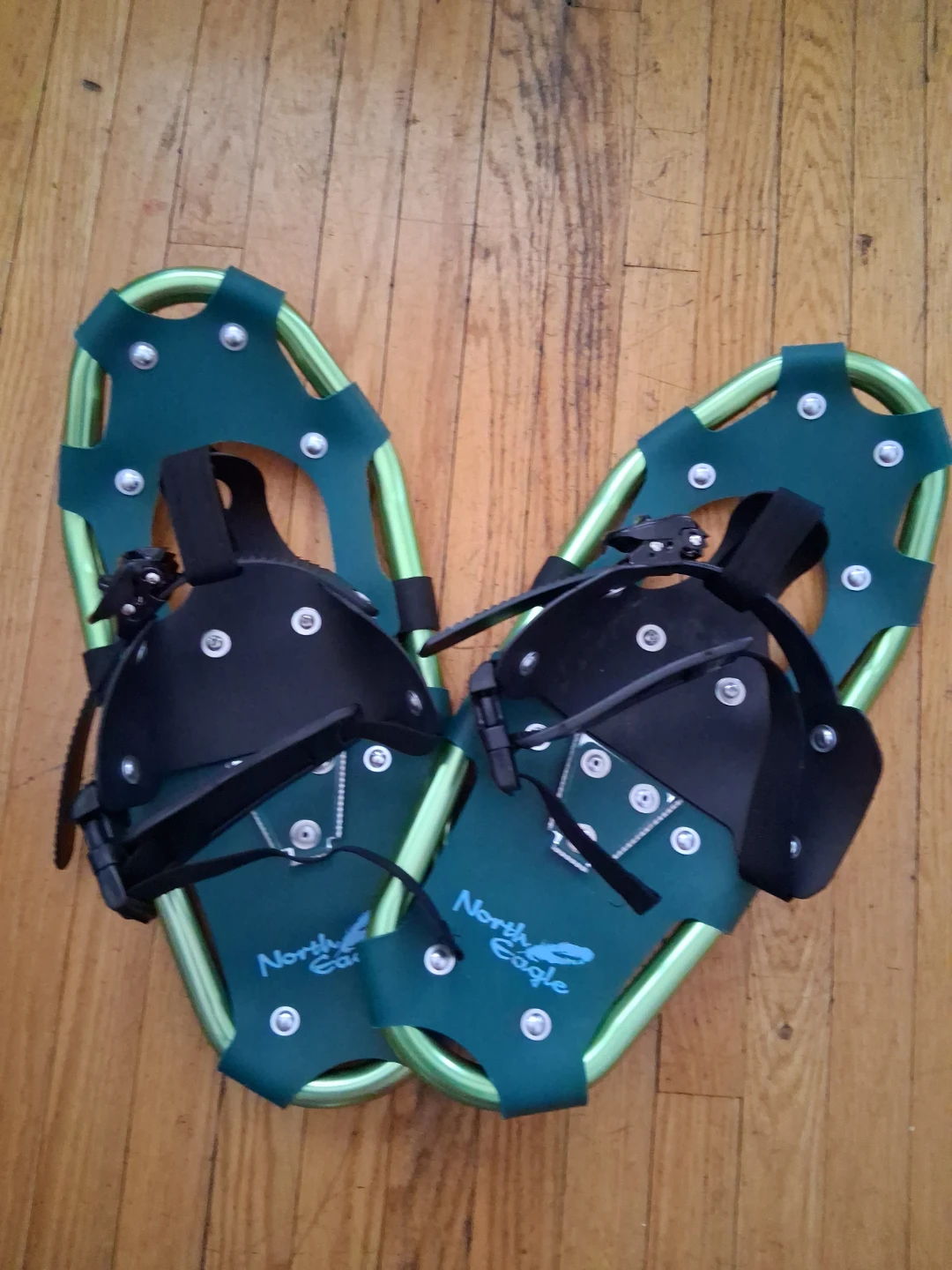 North Eagle Snowshoes - Green