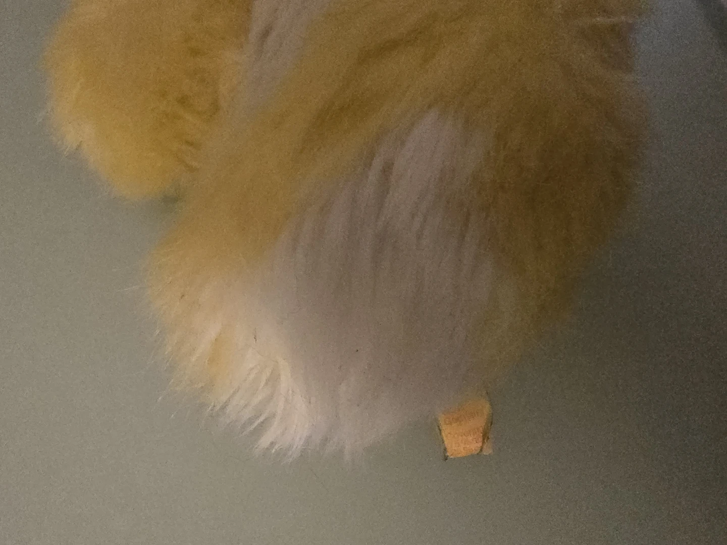 Steiff Yellow Duck Plush Toy - photo 4