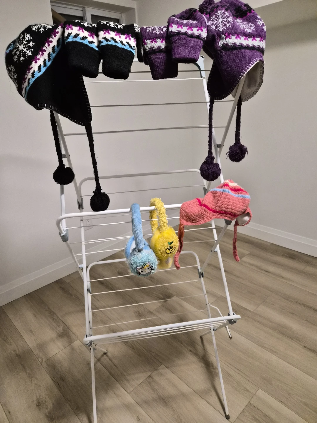 Assorted Winter Hats and Earmuffs