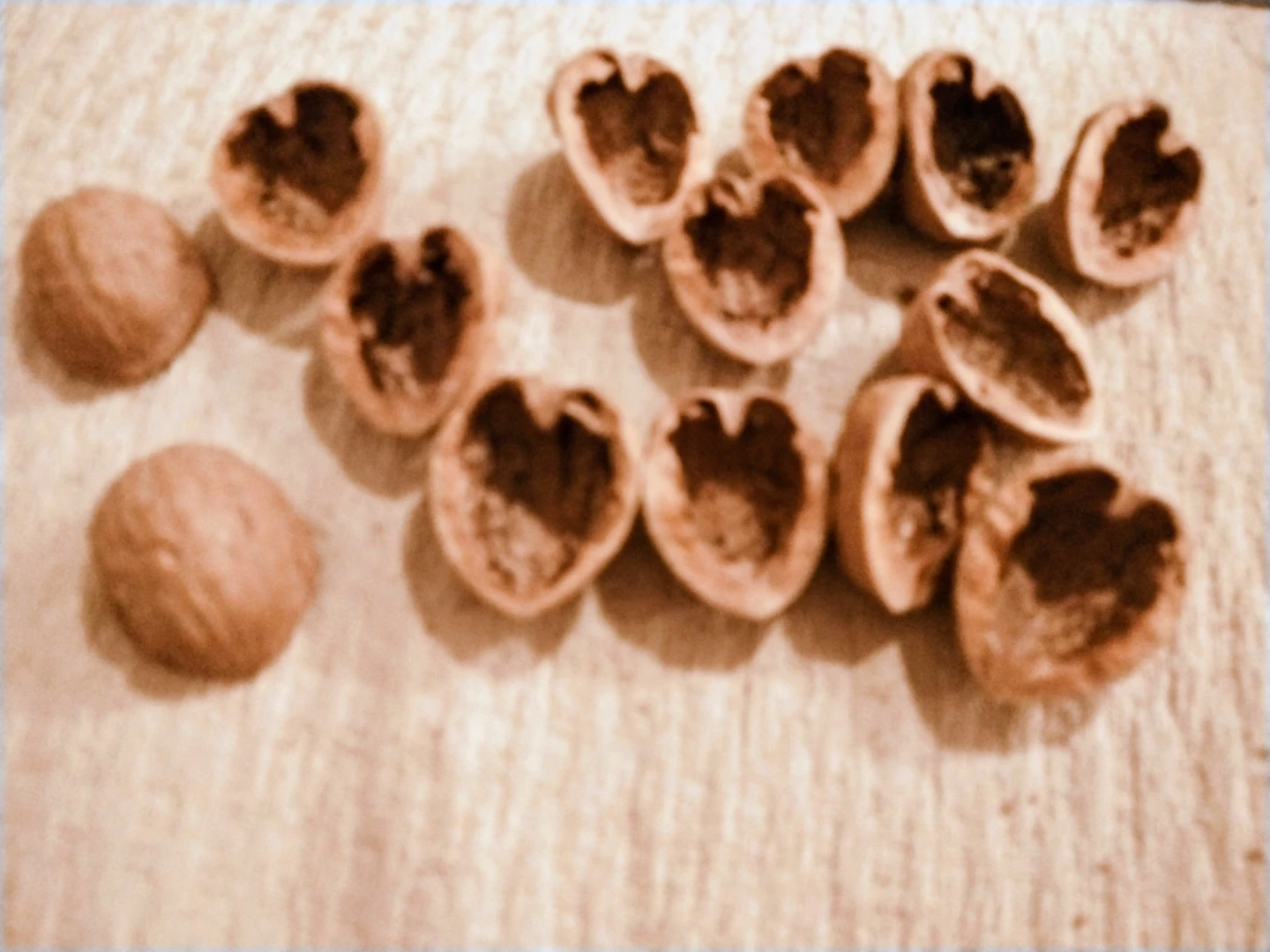 Perfectly halfed wallnut shells for crafts