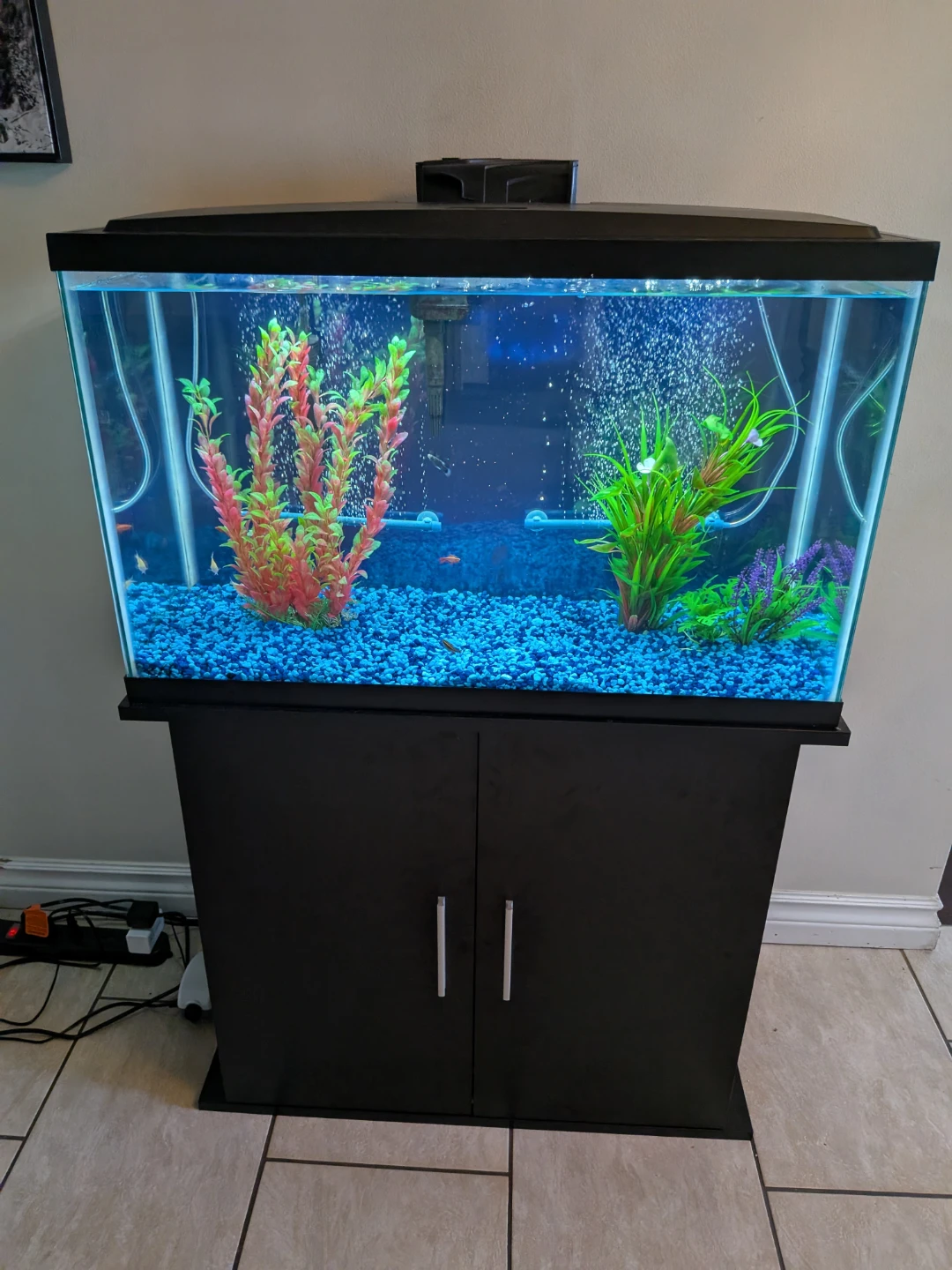 Fish Tank and Cabinet