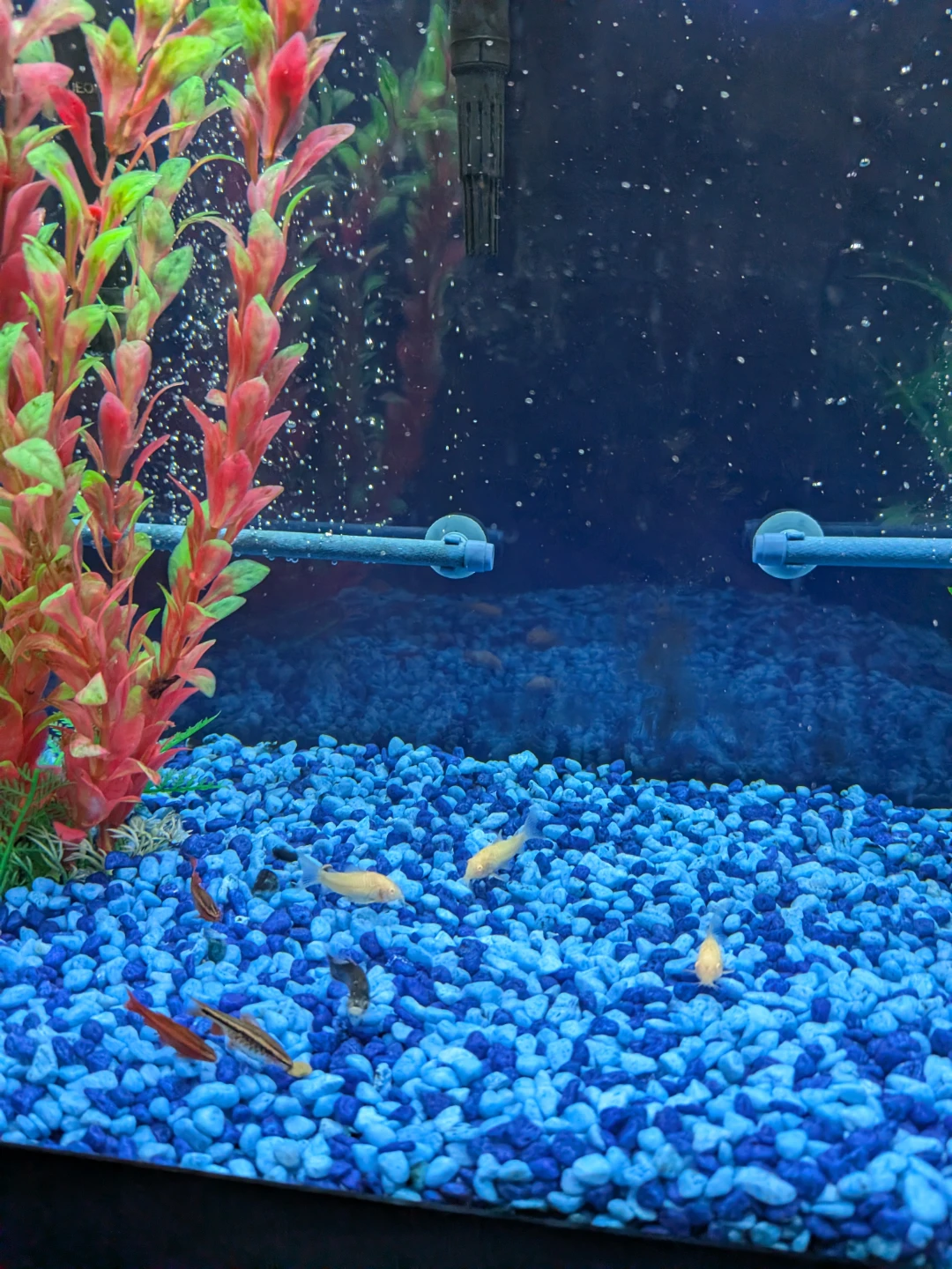 Fish Tank and Cabinet - photo 3