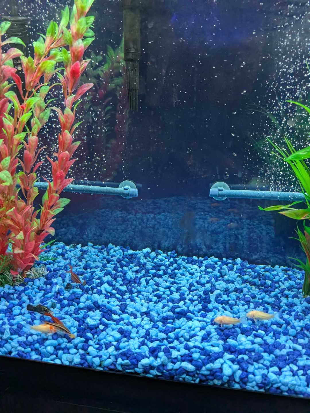 Fish Tank and Cabinet - photo 4