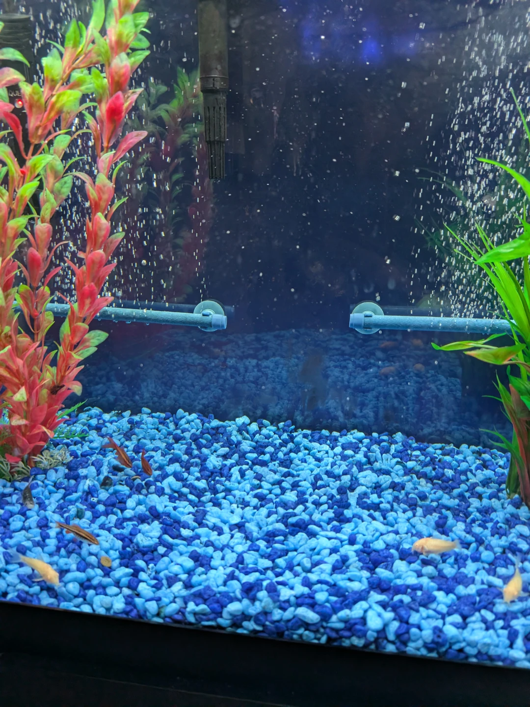 Fish Tank and Cabinet - photo 5
