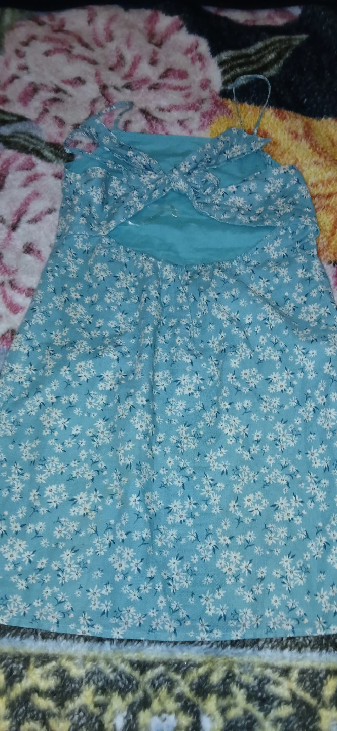 American Eagle Floral Mini Dress XS