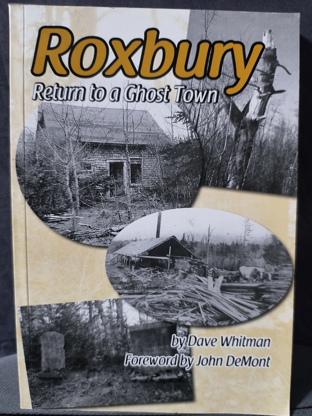 Roxbury: Return to a Ghost Town by Dave Whitman