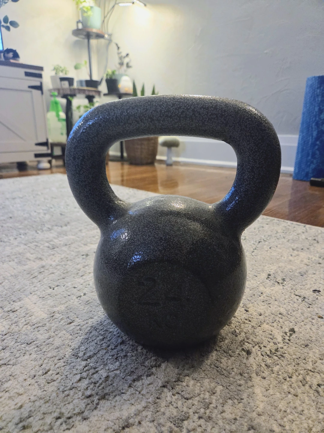 24 kg Kettlebell - photo 2