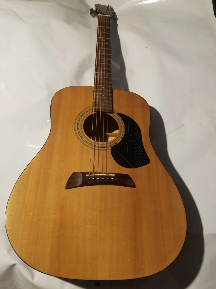 First Act AL460 Acoustic Guitar
