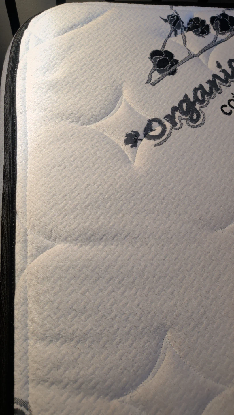 Free Organic Cotton Double Mattress Set - photo 3