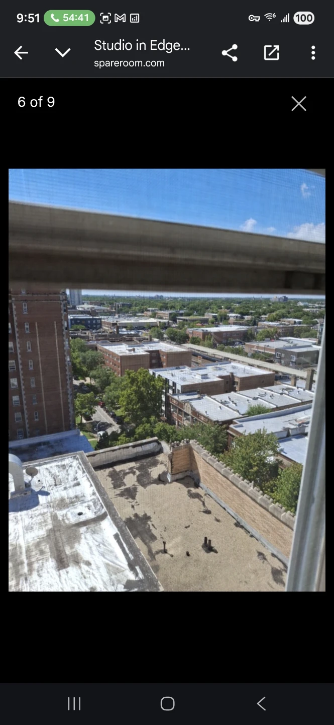 Sublet in Edgewater Gorgeous Studio - photo 3