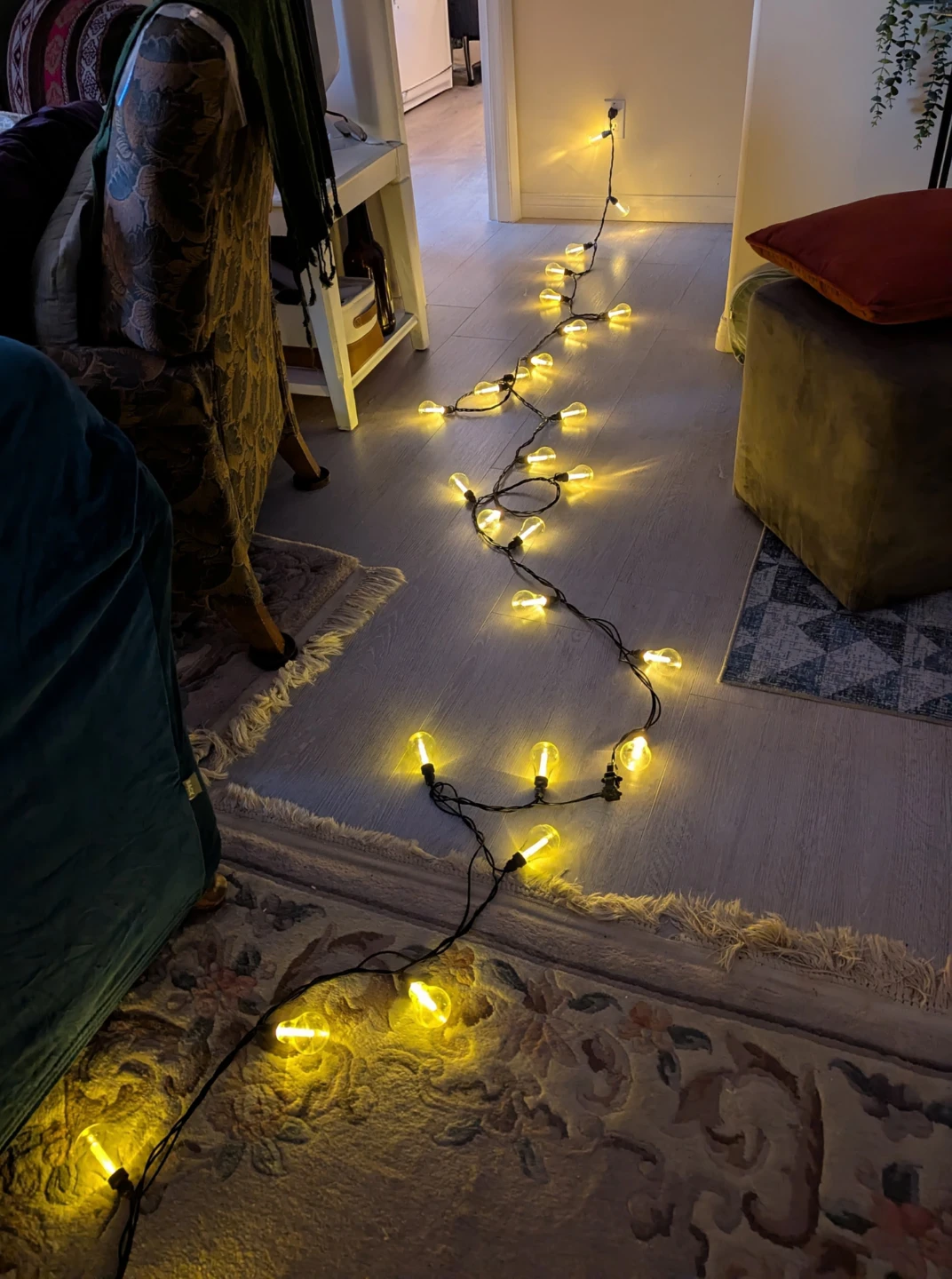 Decorative Outdoor Light Strings - photo 5