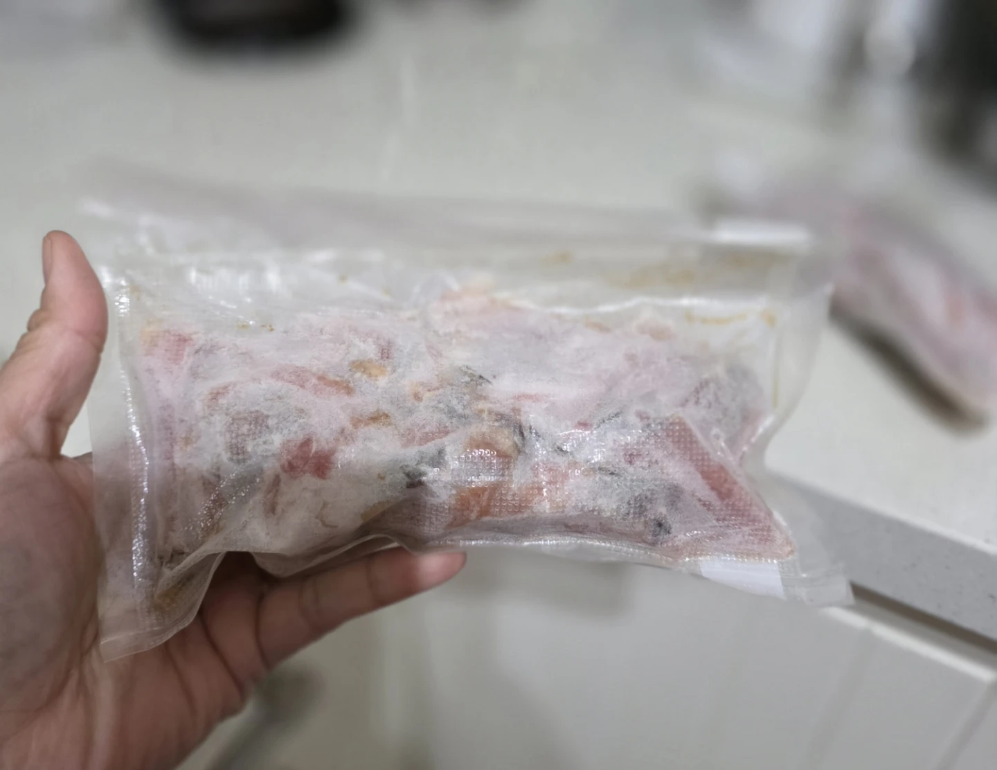 Freshlocker Vacuum Sealer Machine - photo 3