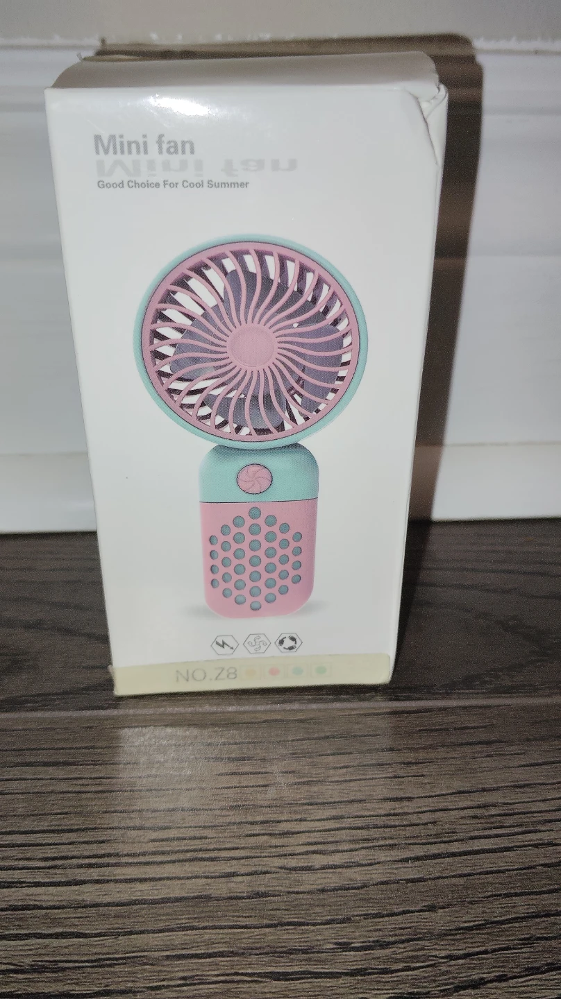 Hand Held Mini Fan