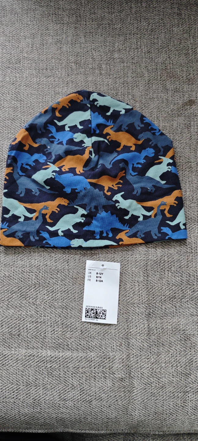 H&M Dinosaur Beanie, Size 8-12Y