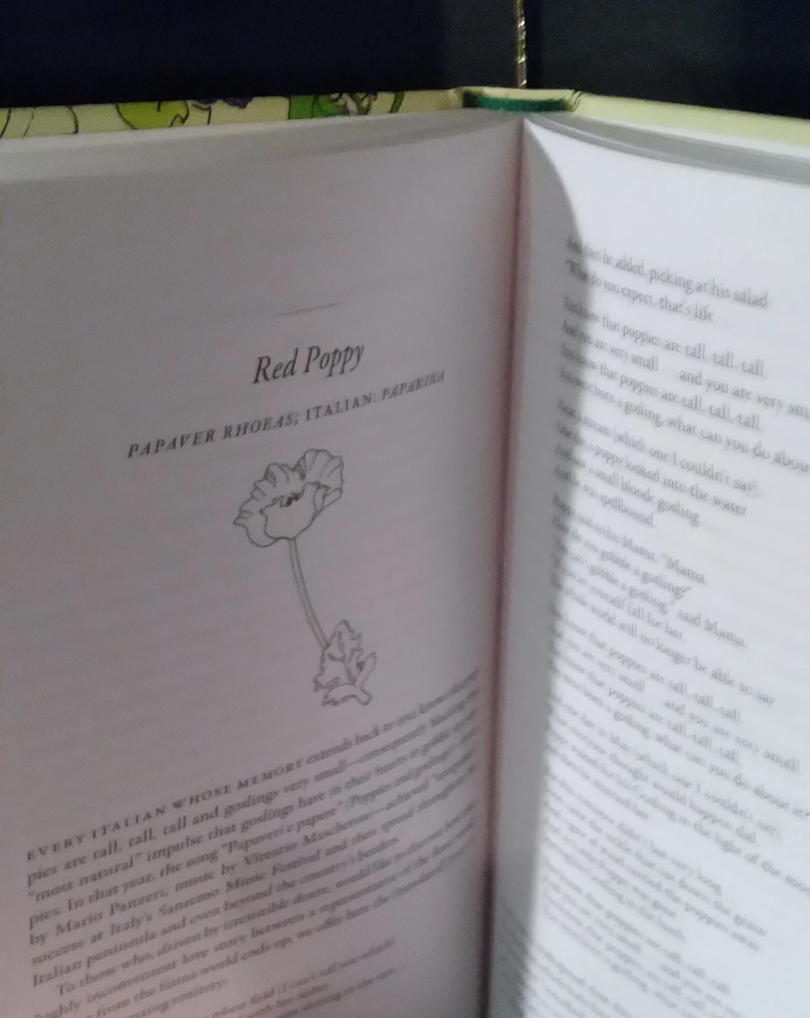 FORAGING BOOK - 'A FEAST OF WEEDS' - HARDCOVER - photo 5