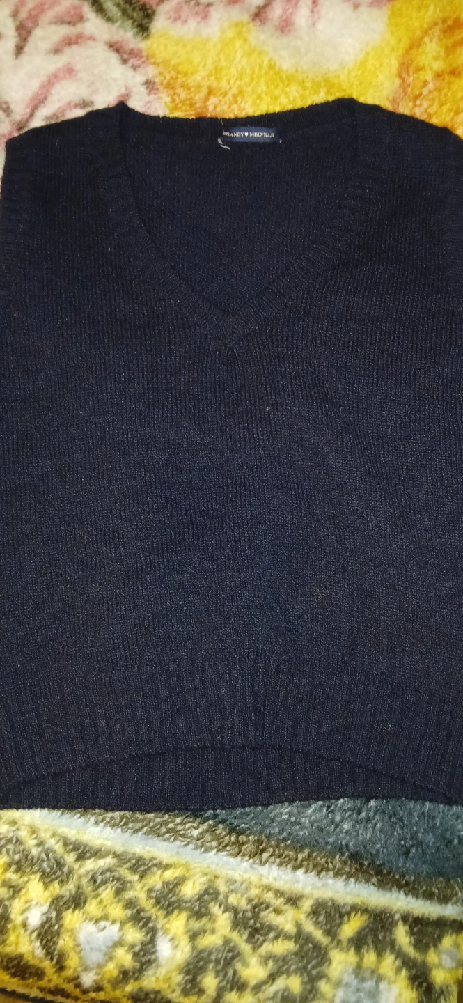 Brandy Melville Black V-Neck Sweater Vest