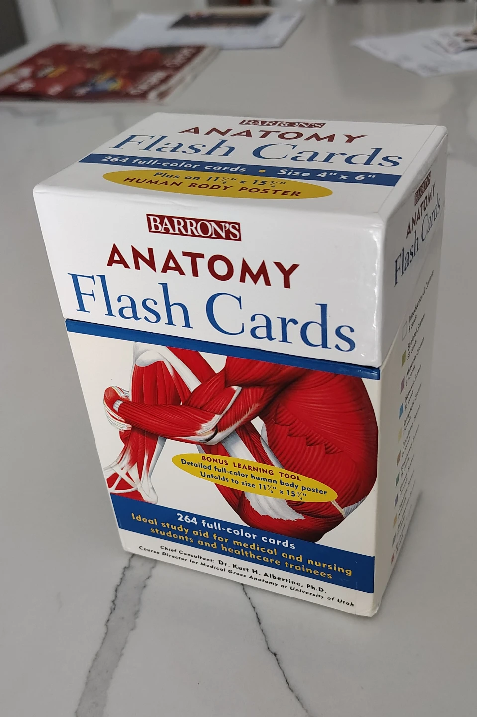 Anatomy flash cards - photo 2