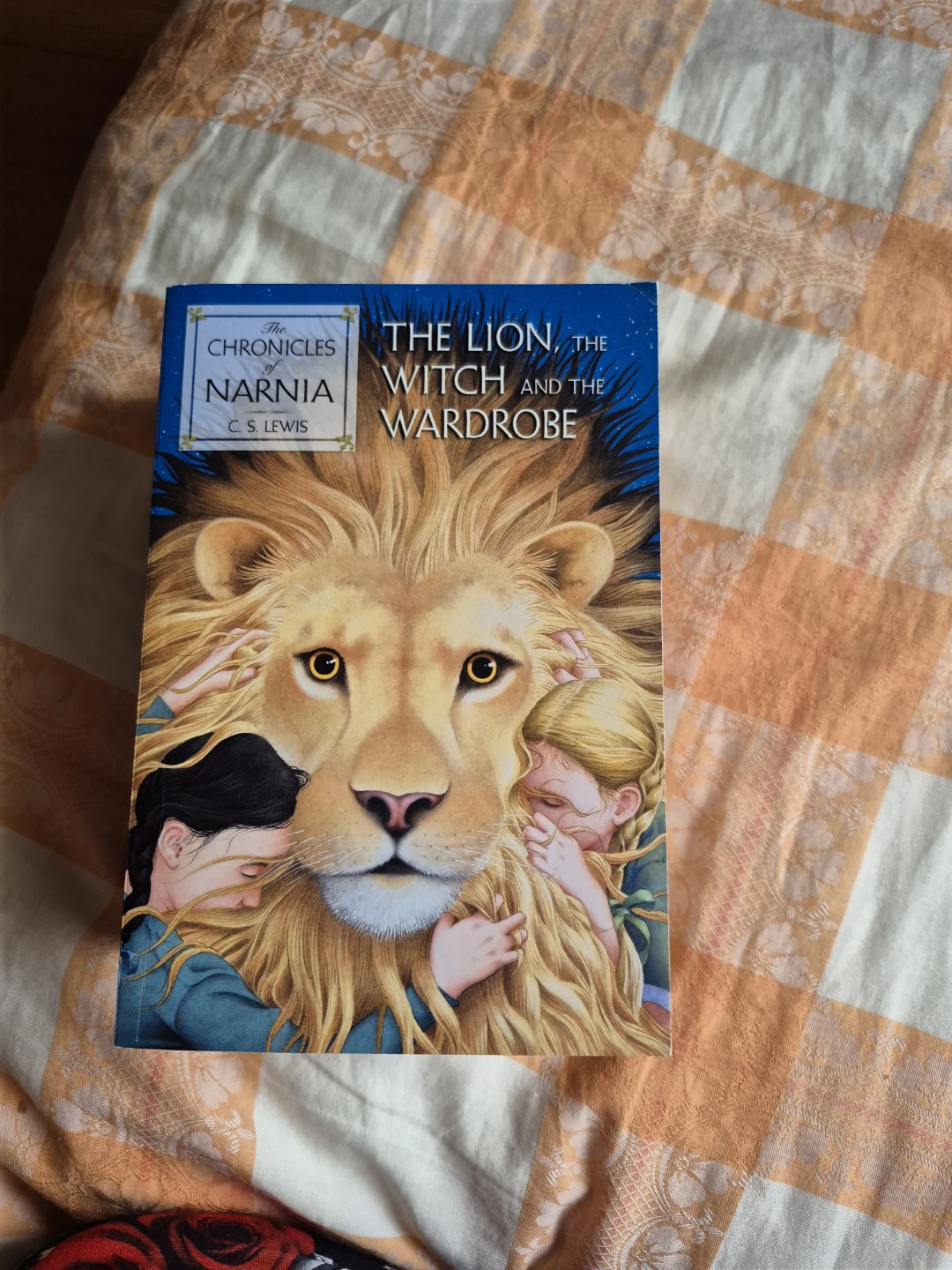 FULL SET; The Chronicles of Narnia Books by C.S. Lewis - photo 2