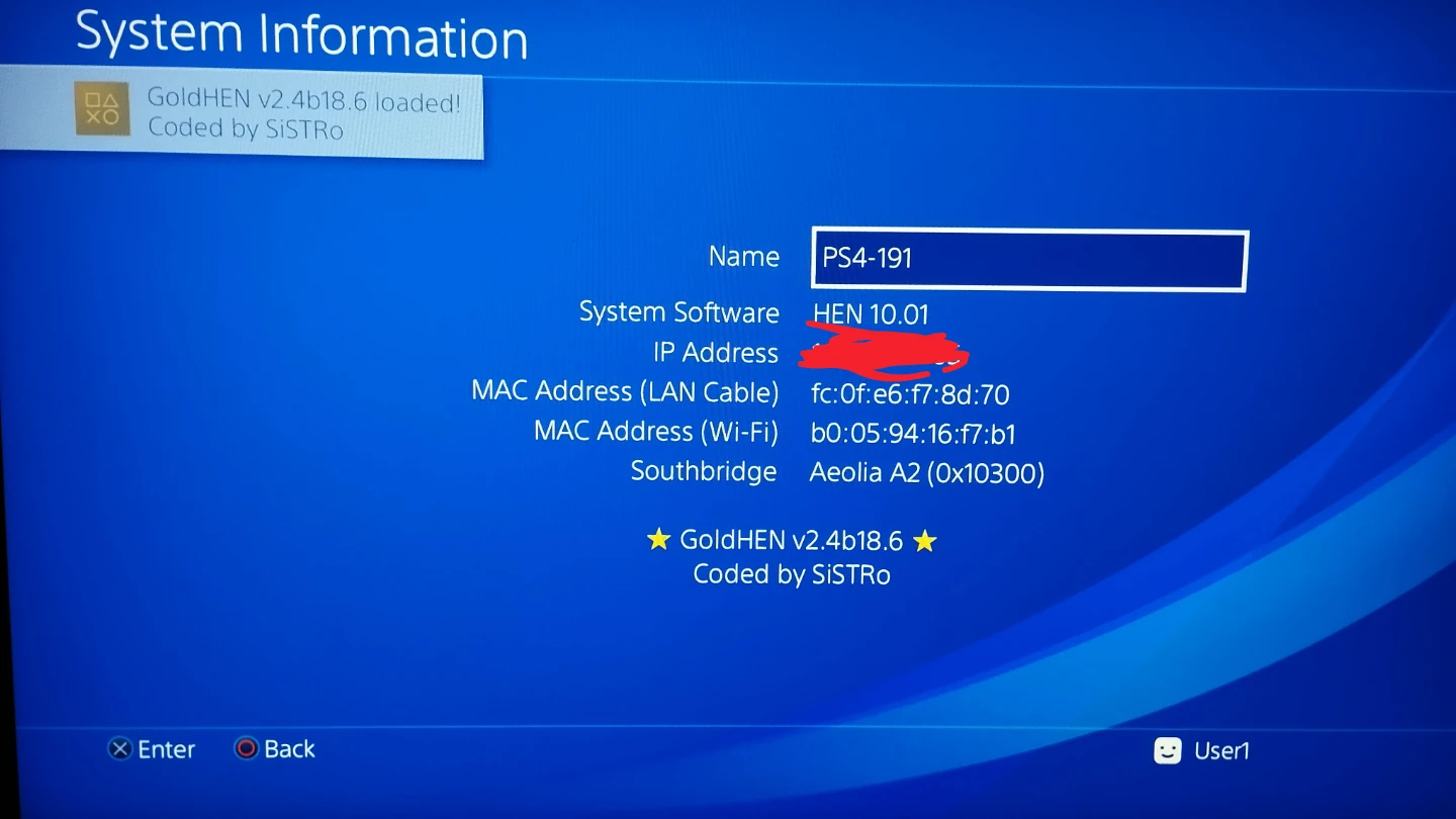 PlayStation 4 Console GoldHen 10.01