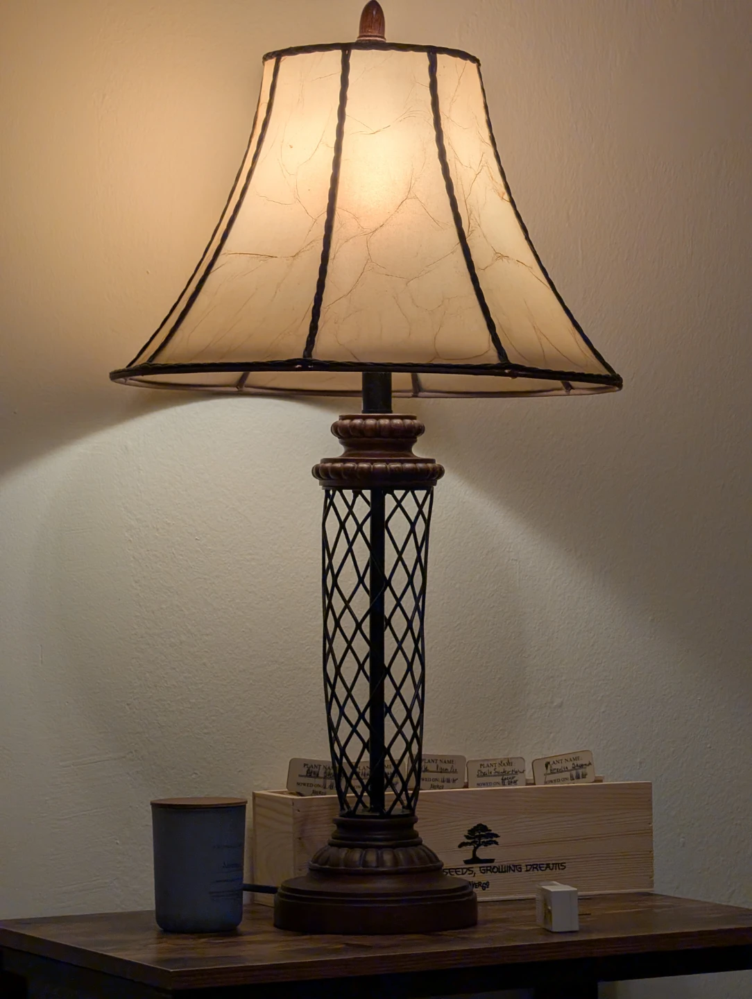 Set of 2 table lamps
