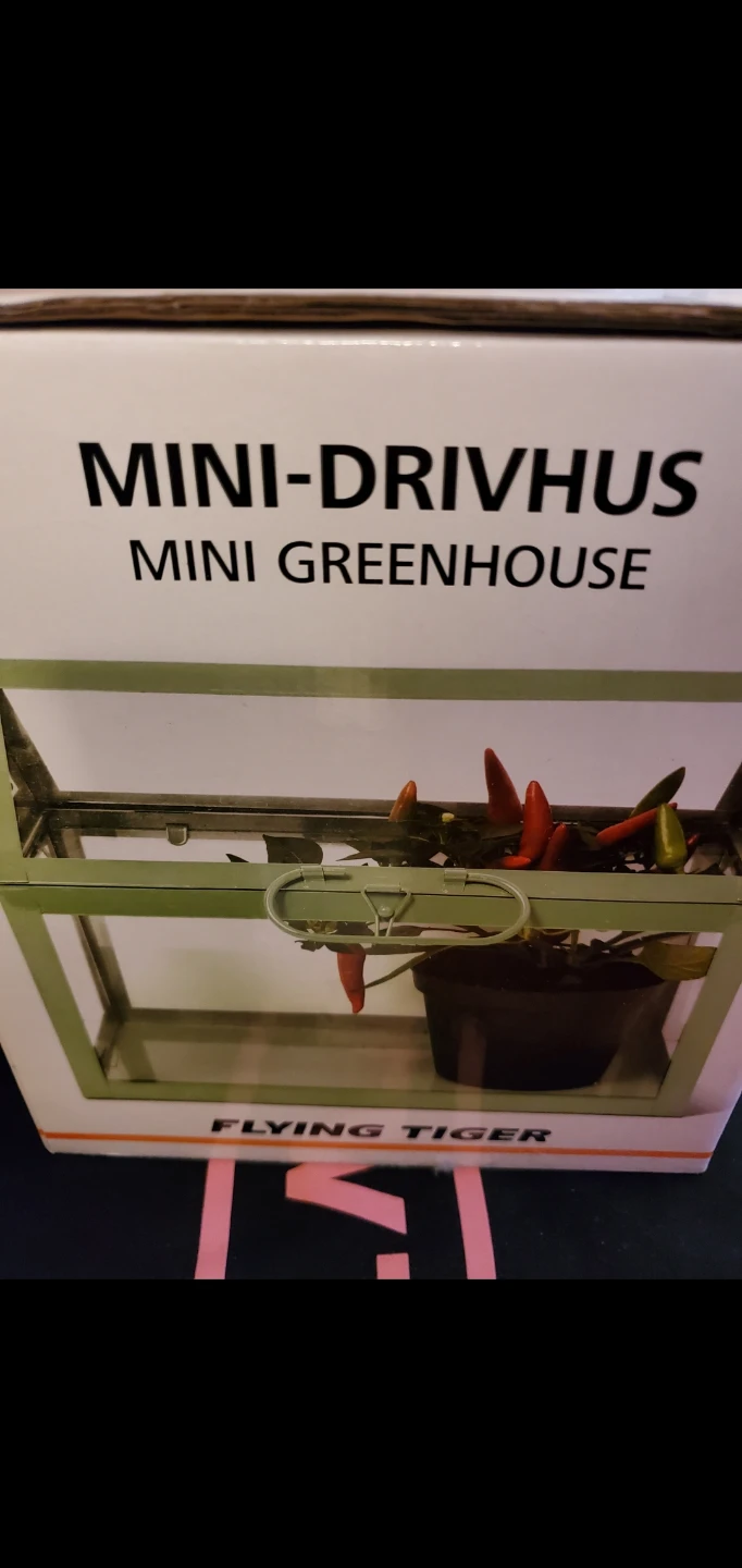Flying Tiger Mini Greenhouse - New in Box! 🥕