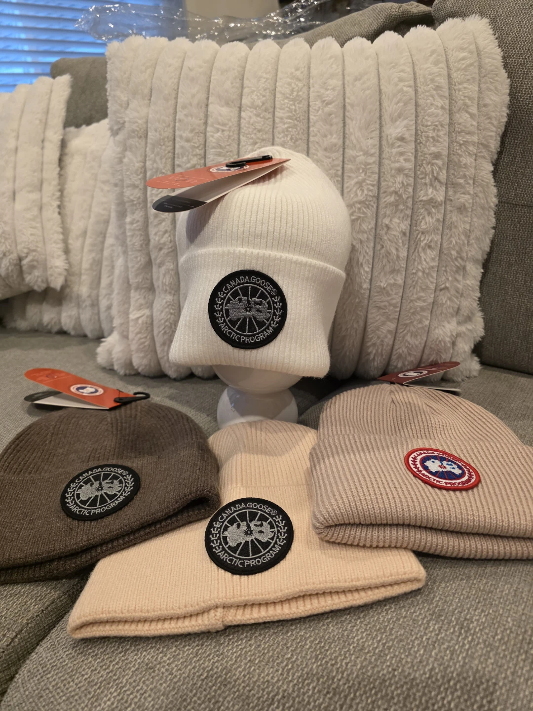 Canada Goose