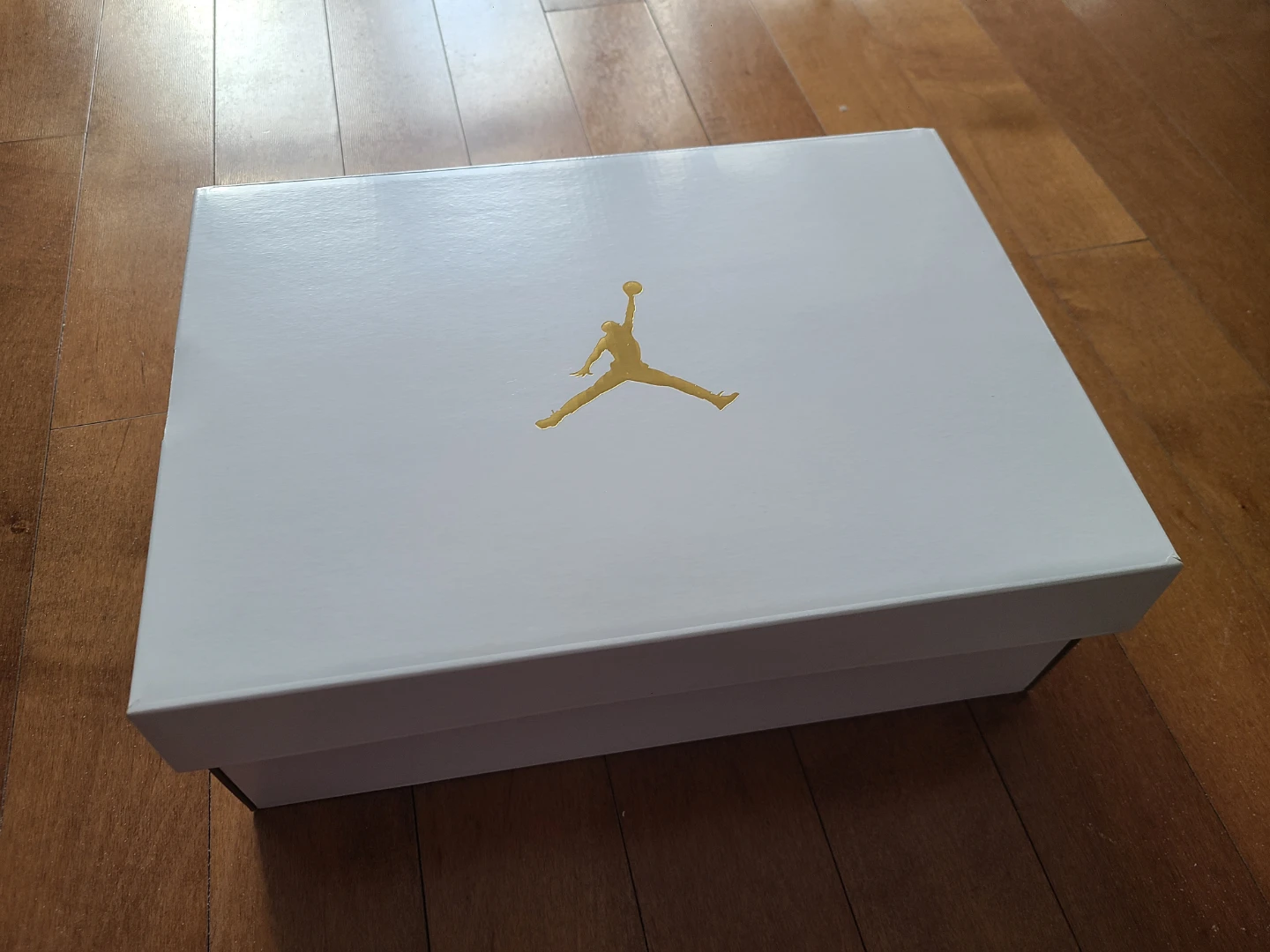 Jordan 1 Mid SE "Coach Dream" Sneakers - photo 4