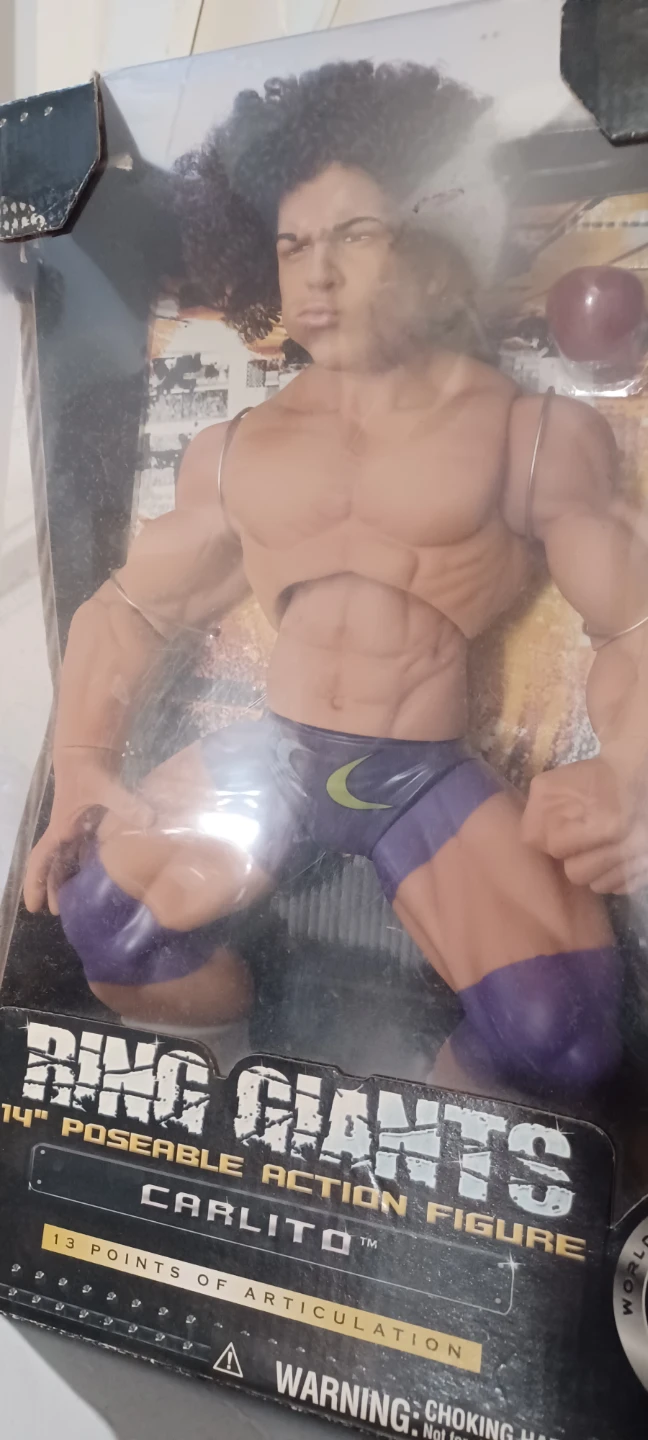 Jakks Pacific Ring Giants Carlito 14" Poseable Action Figure
