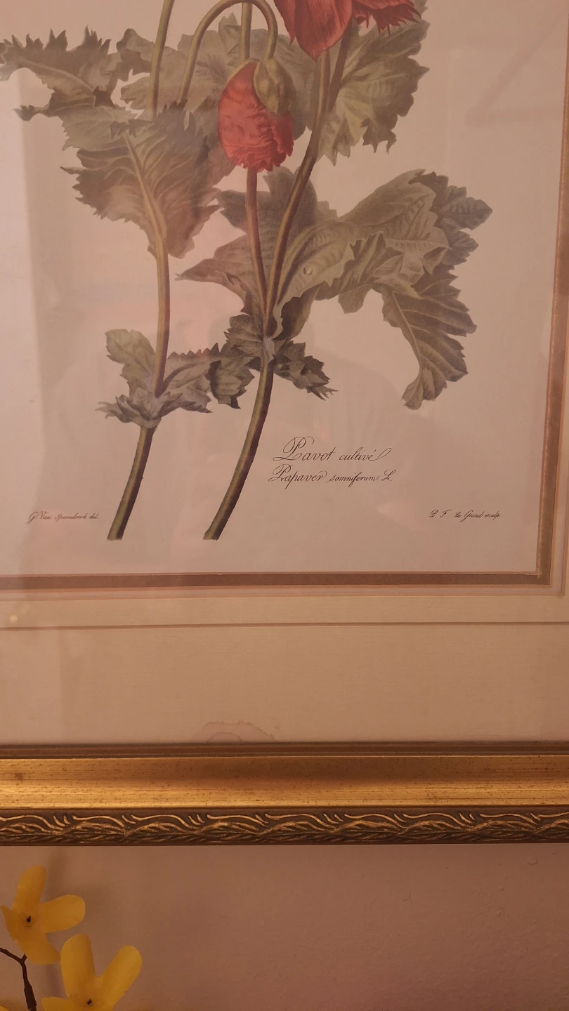 Framed Floral Print - photo 2