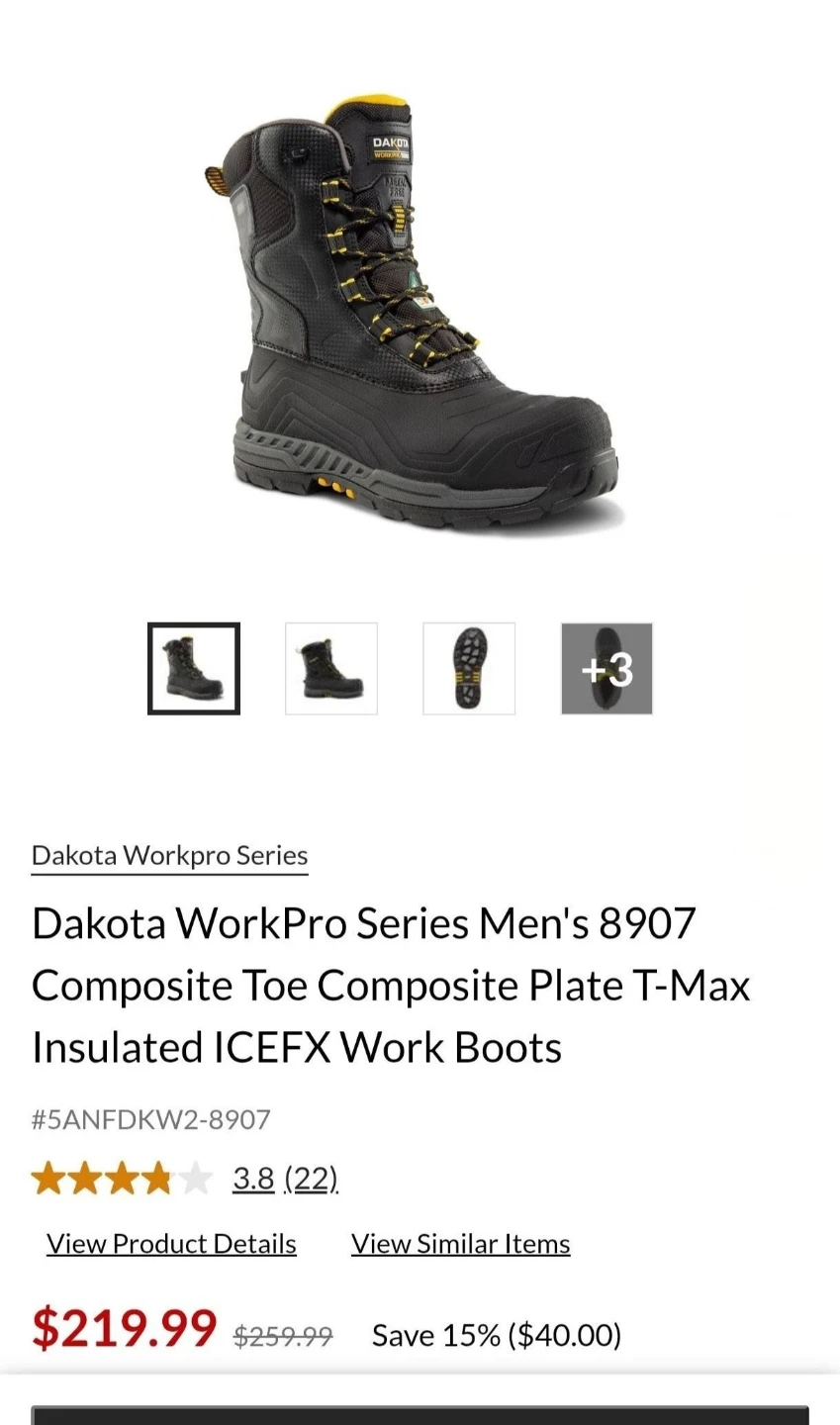 Dakota WorkPro 8907 Insulated ICEFX Work Boots