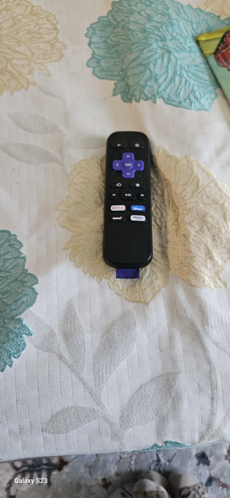Roku remote