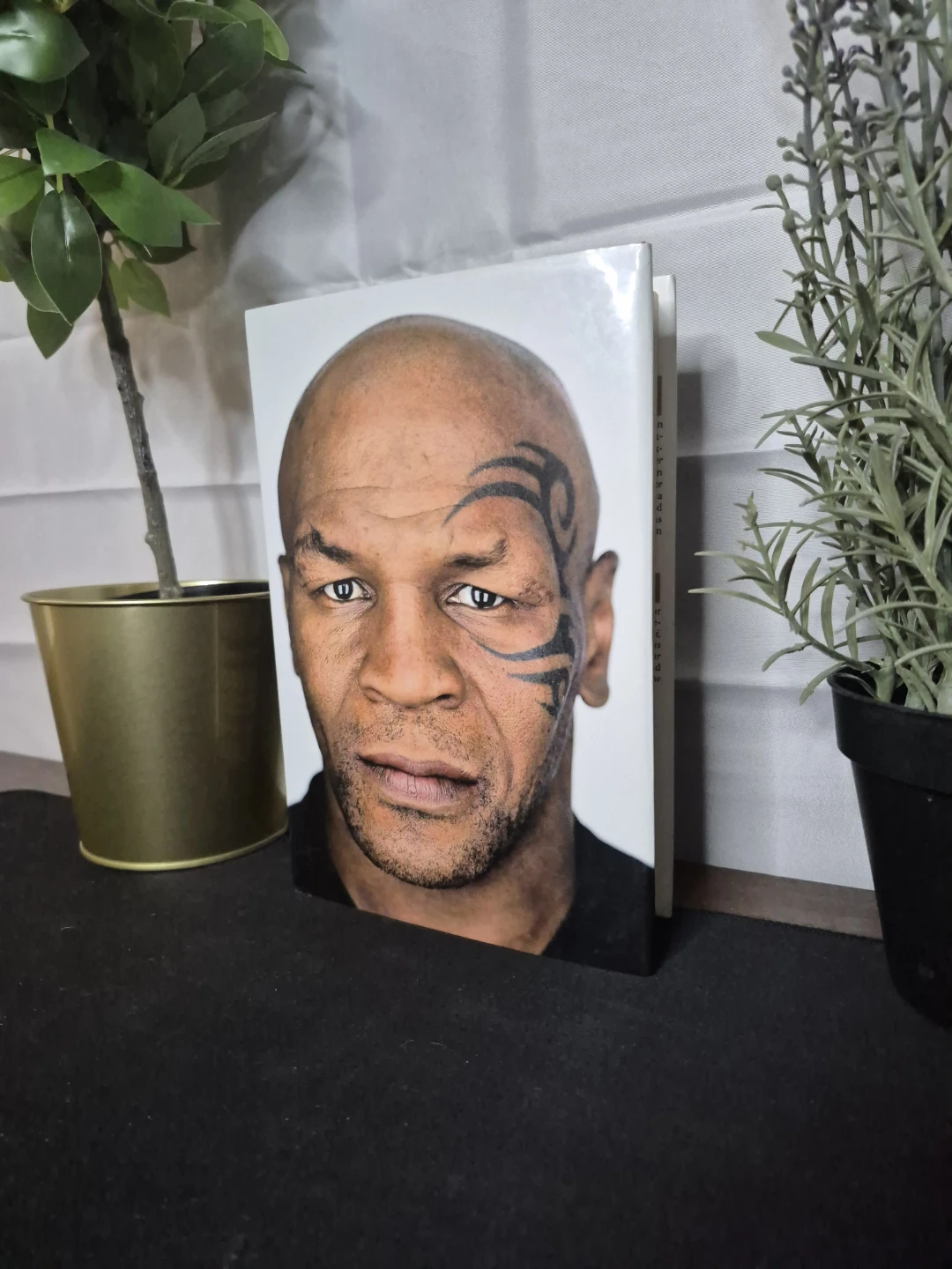 Undisputed Truth by Mike Tyson