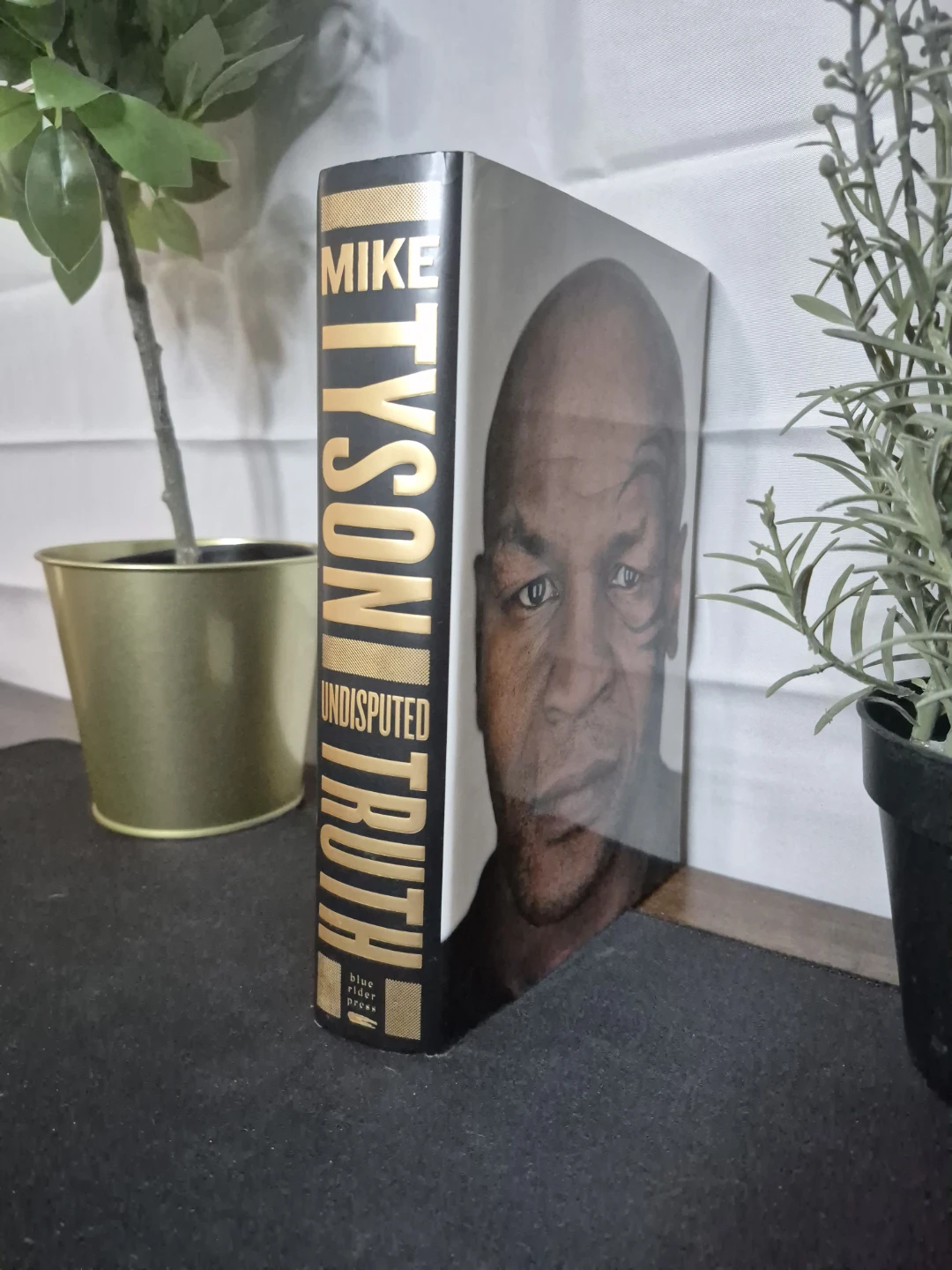 Undisputed Truth by Mike Tyson - photo 2