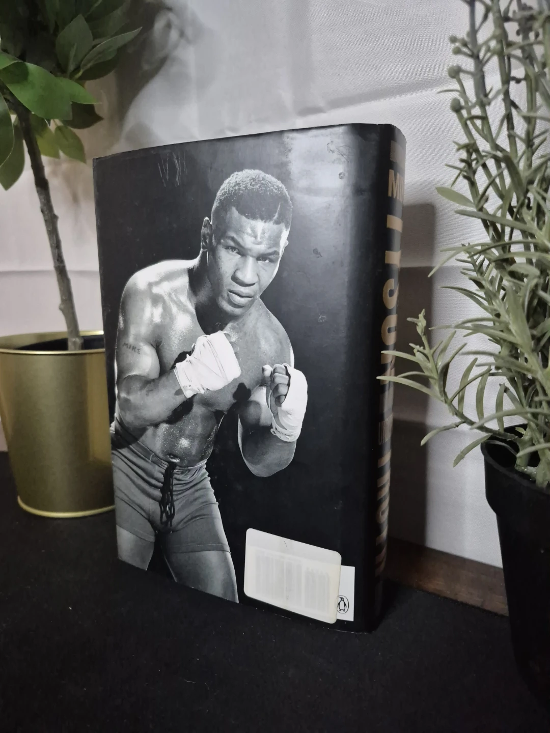 Undisputed Truth by Mike Tyson - photo 3