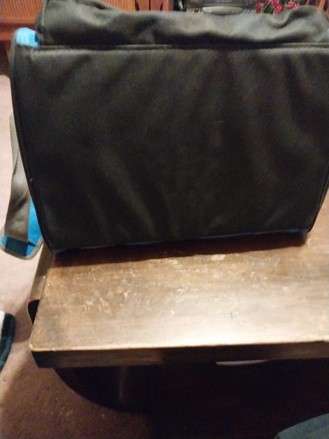 Blue & Black Thermal Bag - photo 2