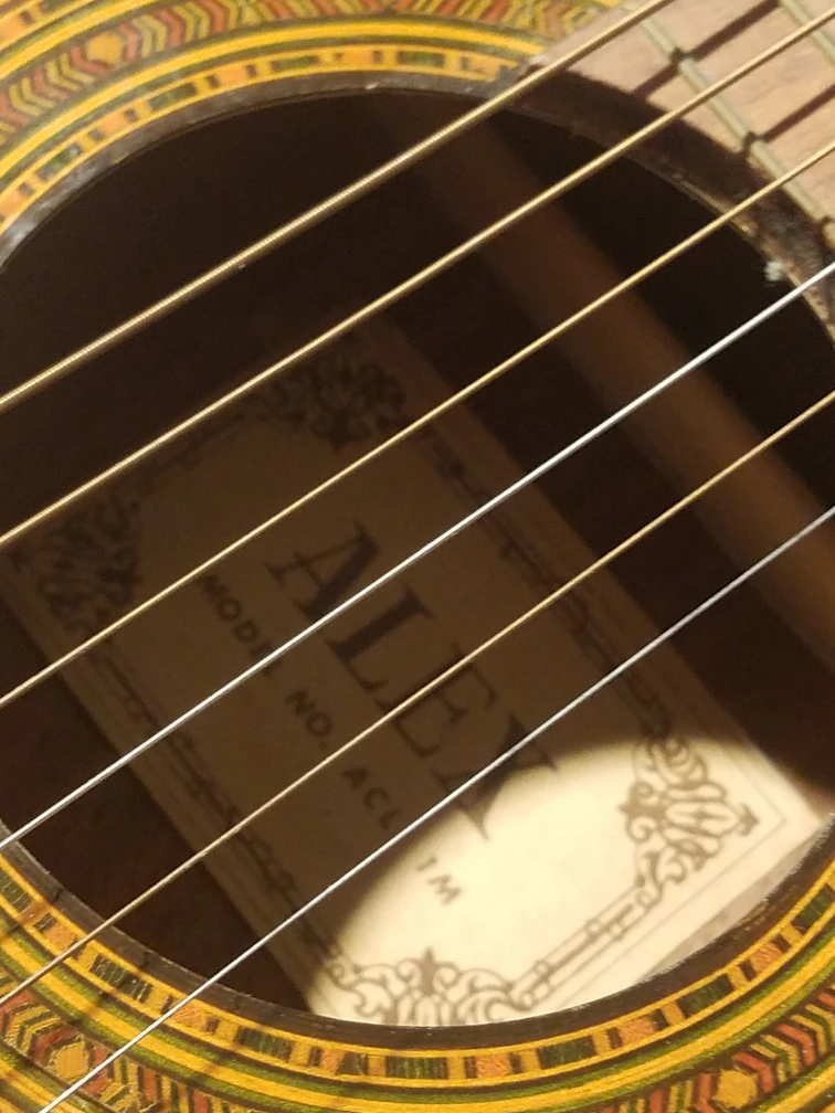 ALEX Acoustic Guitar Model ACL-1M - photo 3