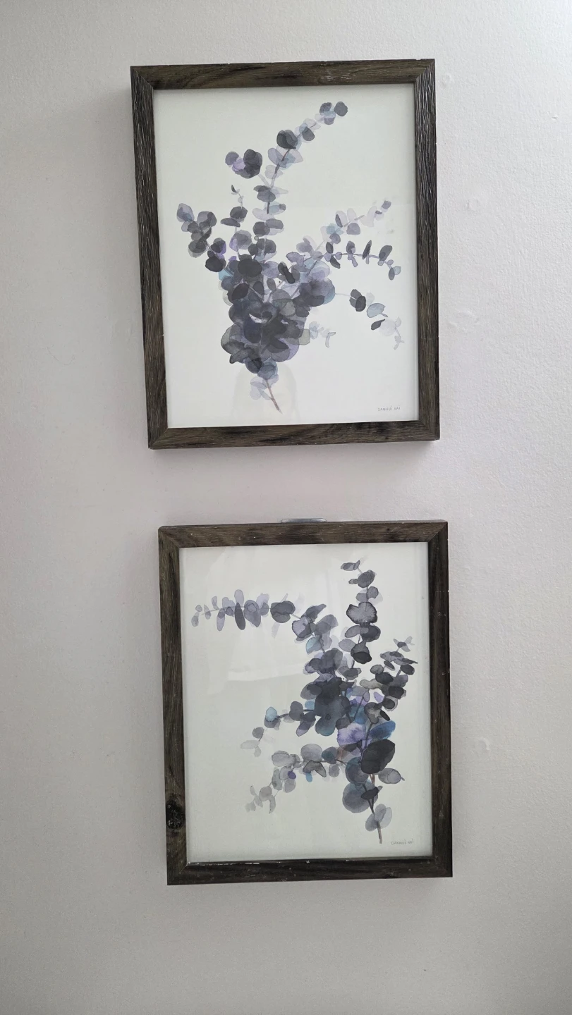 Framed Eucalyptus Prints - Set of 2