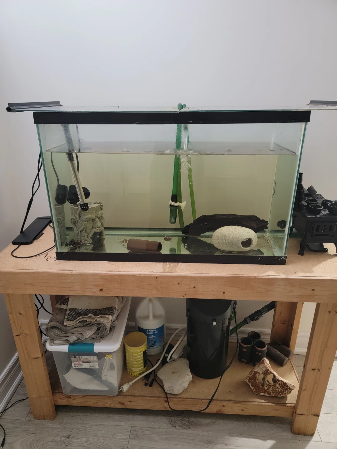 Aquarium with Filter and Heater