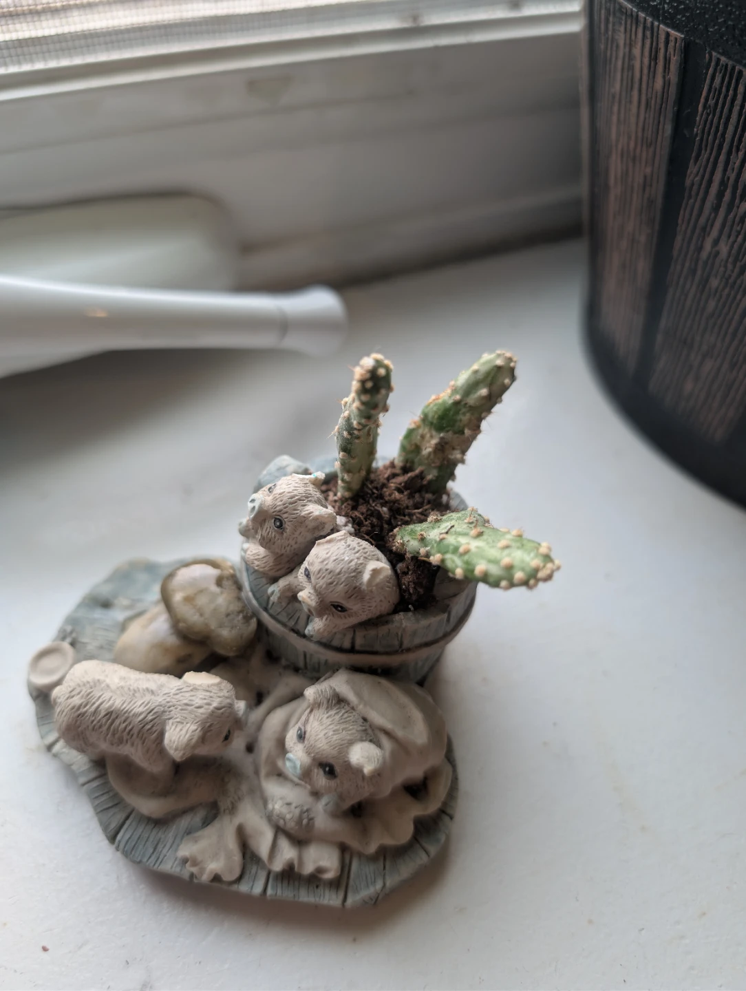 Small pig figures w/cactus🥕 - photo 3