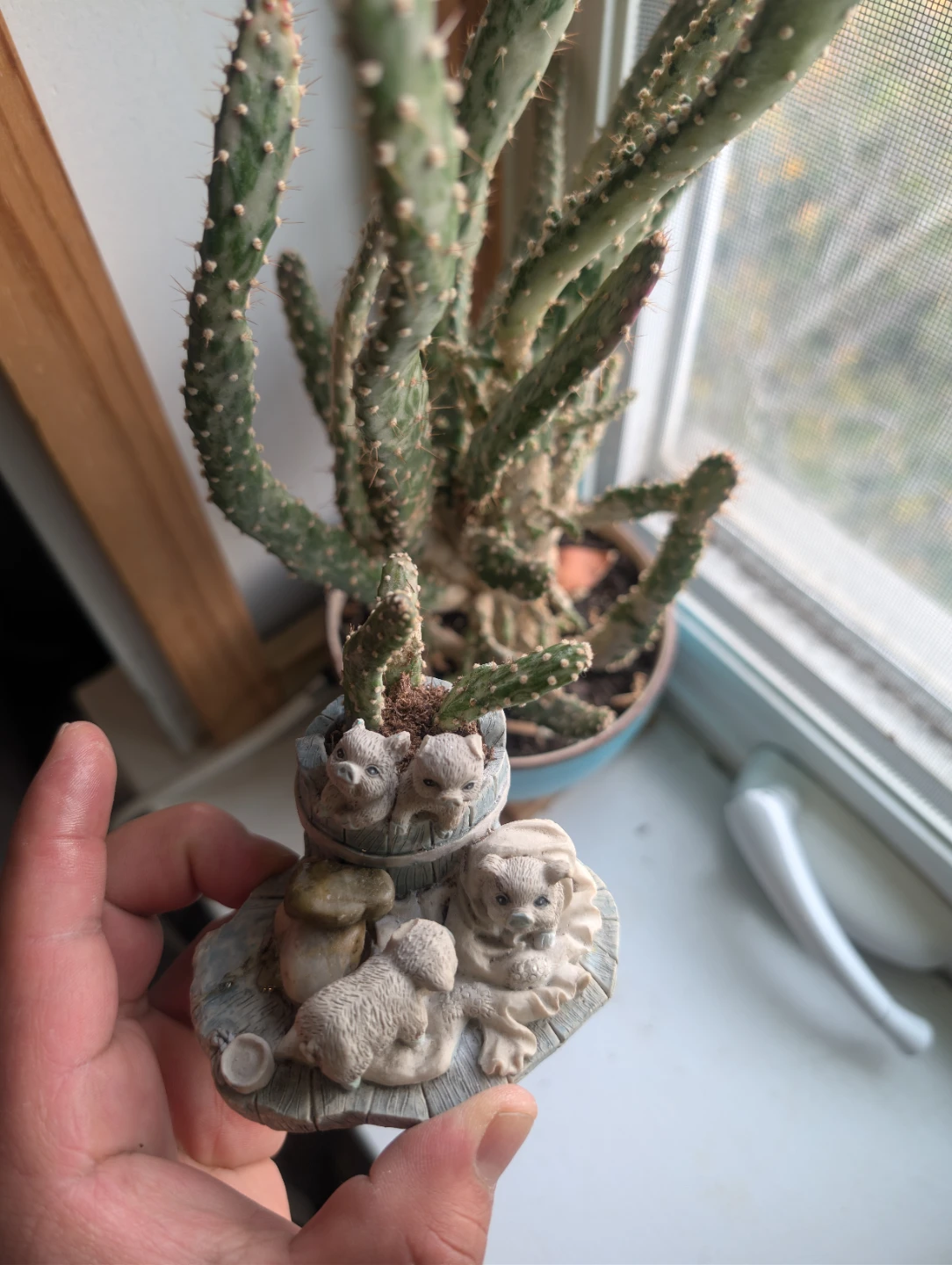 Small pig figures w/cactus🥕 - photo 5