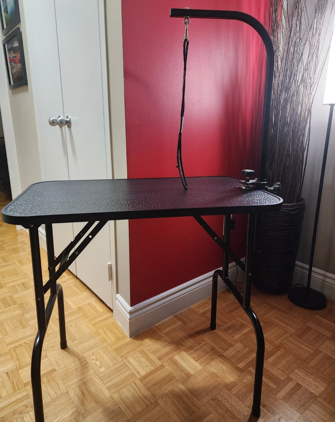 Foldable Pet Grooming Table with Arm