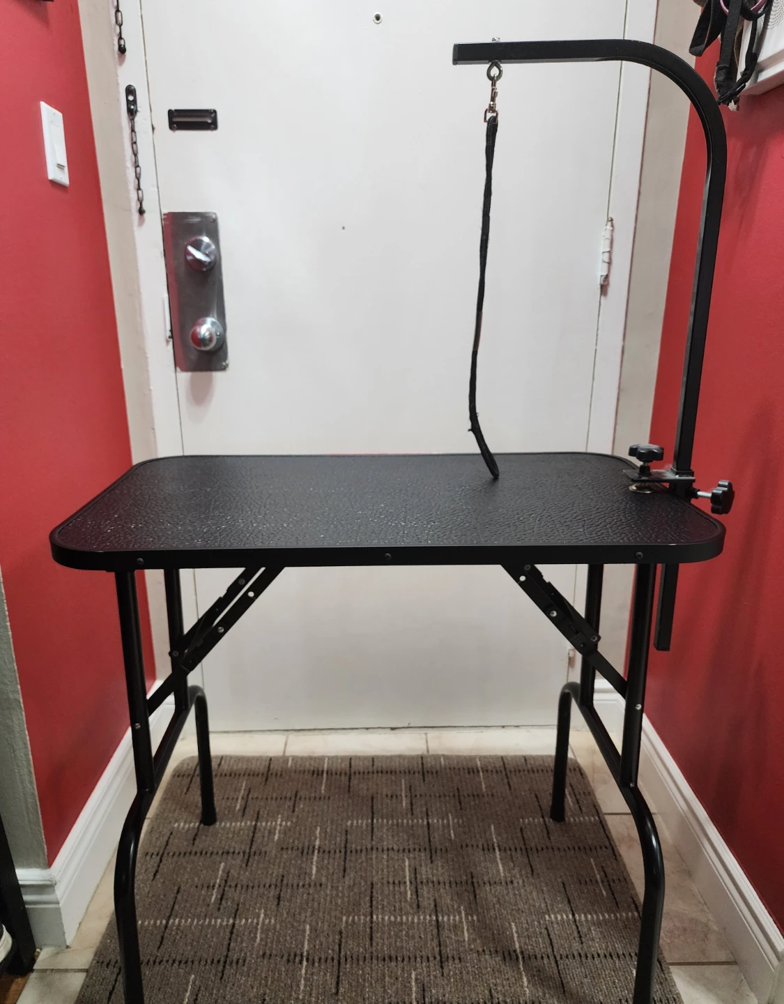 Foldable Pet Grooming Table with Arm - photo 2