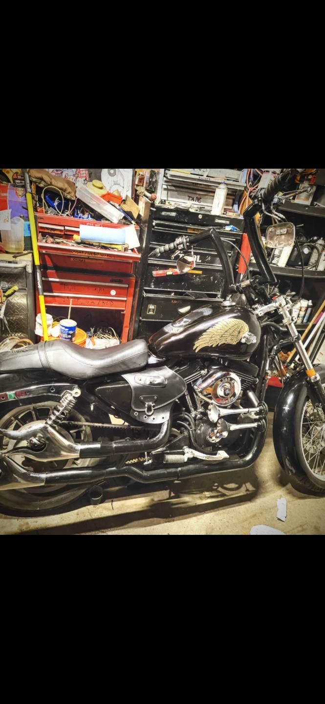 Harley Davidson Motorcycle