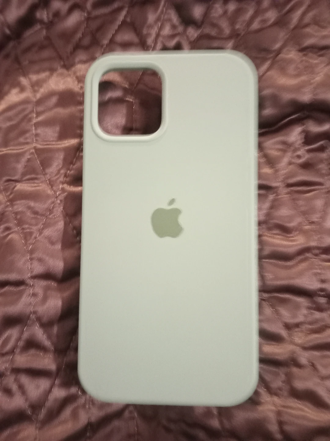 iPhone 12pro Case - Light Green