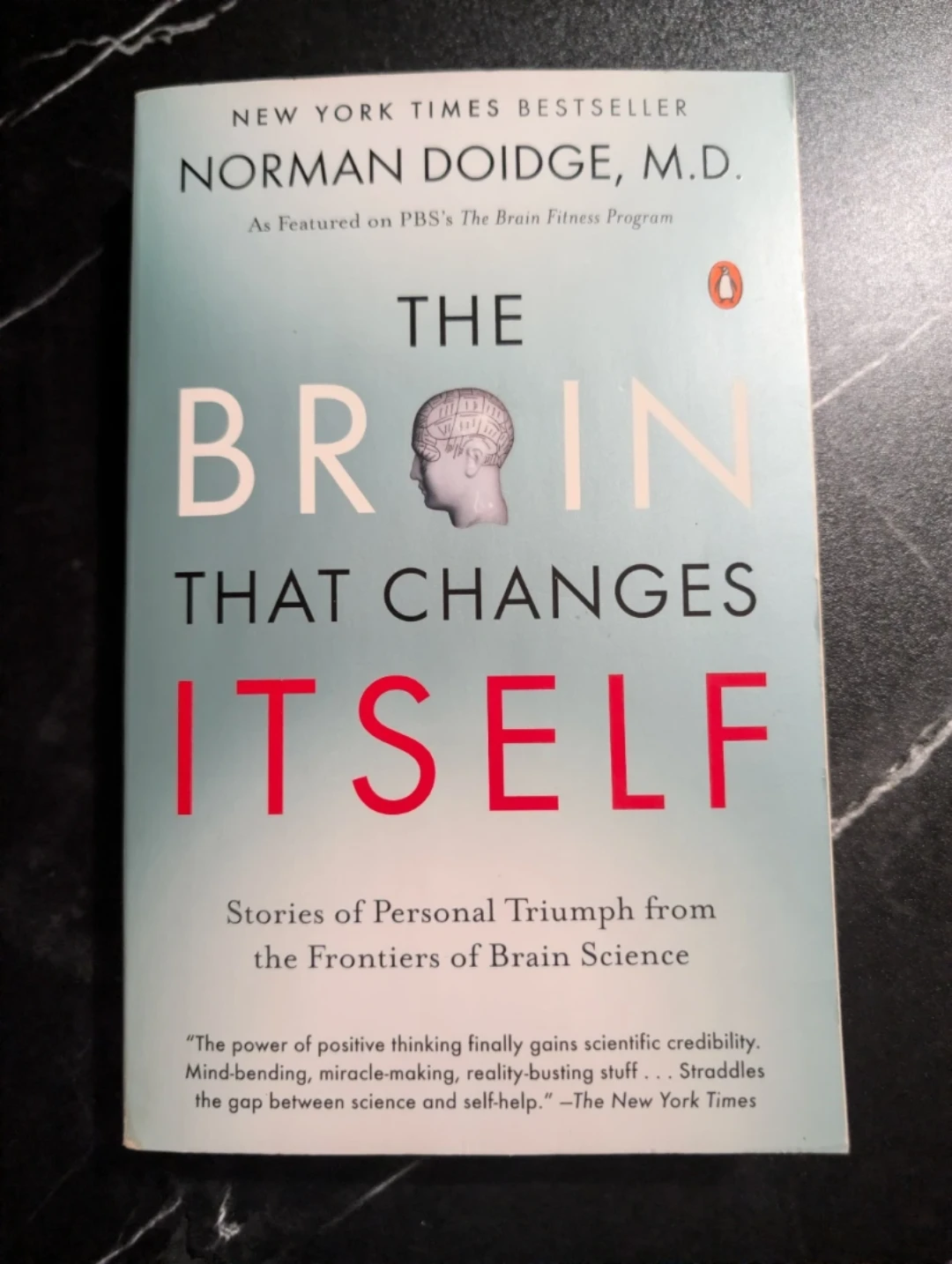 The Brain That Changes Itself by Norman Doidge